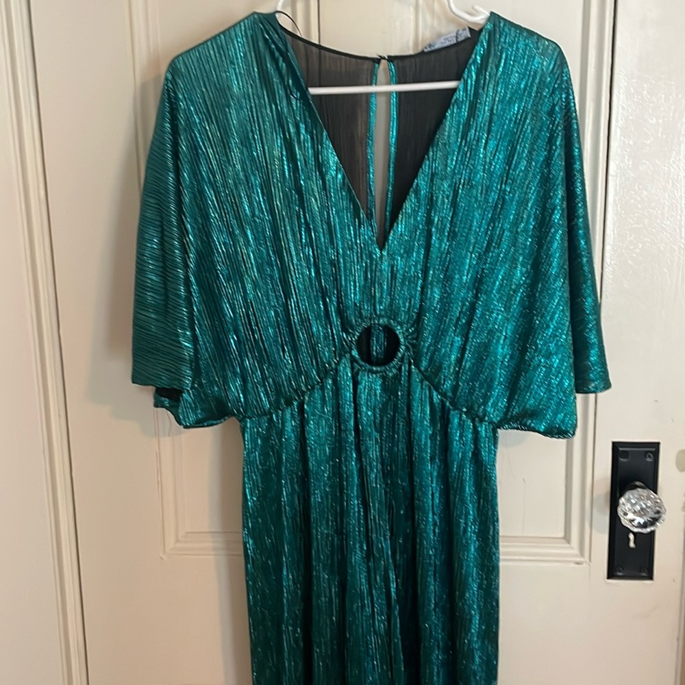 Zara pleated metallic full length jumpsuit.
